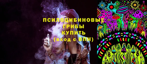 мет Алексин