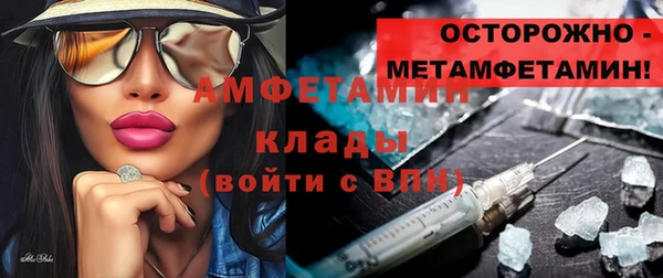 мет Алексин